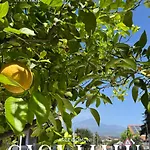 Casa Malu 3* Aci Bonaccorsi
