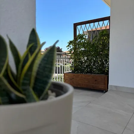Casa Malu 게스트하우스