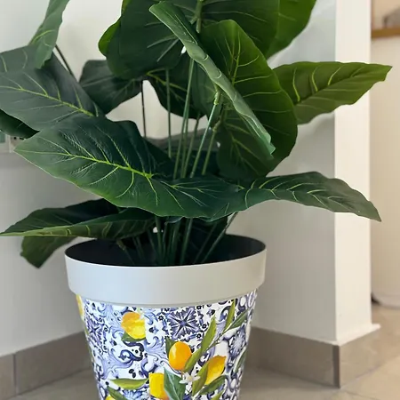 招待所 Casa Malu Aci Bonaccorsi